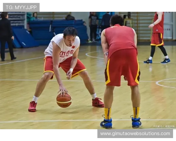 全面解析干扰球国际规则差异的具体标准